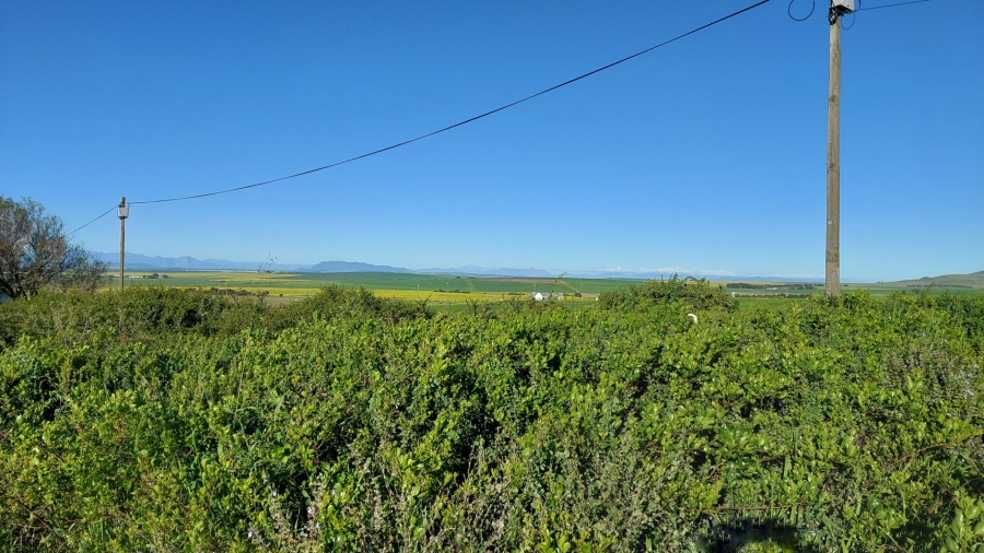 0 Bedroom Property for Sale in Darling Western Cape